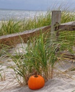 LHH, fall beach